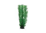 Dohse Egeria 20 cm