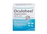 OCULOHEEL Augentropfen ad us.vet.Einzeldosispipet. 20 St