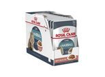 Royal Canin Hairball Care in Gravy 85g (12-Pack)