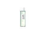 Beauty of Joseon Green Plum Refreshing Toner: AHA + BHA