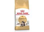 Royal Canin Maine Coon Adult 4kg