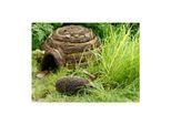 Insektenhotel »Wildlife World Iglu«