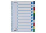 Esselte Register Blanko, Plastik