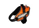 Julius-K9 IDC harness size: Mini UV Orange