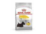 Royal Canin Mini Dermacomfort 3kg