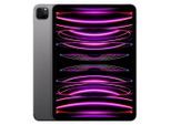 iPad Pro 11" (2022) 4. Generation 256 GB - WLAN + 5G - Space Grau