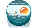 Kringle Candle Herbal Tea theelichtje 42 gr