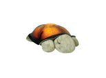 Cloud B Twilight Turtle Classic Mocha