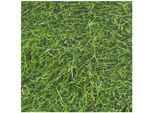 Baumwollstoff-Digitaldruck "Gras", Serie Ria