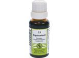 EQUISETUM KOMPLEX Nr.23 Dilution 20 ml