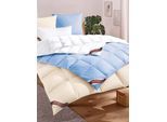 Daunenbettdecke HAEUSSLING Gr. 1, blau (bleu), B:135cm L:200cm, 100% Baumwolle, Bettdecken