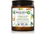 Air Wick Botanica Caribbean Vetiver & Sandalwood geurkaars 205 g