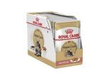 Royal Canin Maine Coon Thin Slices In Gravy 85g (12-Pack)