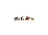 Schleich Wild Life "Asia" Starter Set