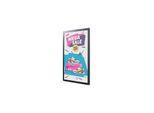 Philips Tableaux 25BDL4050I E-Line Series - 25.3" e-Paper display - for digital signage *DEMO*