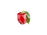 Click & Grow - Smart Garden Refill 3-pack Sweet red peppers