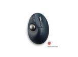 Kensington Pro Fit® Ergo TB550 Trackball - Maus (Blau)