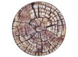 Gino Falcone Teppich »Aurora GF-095«, rund, 5 mm Höhe, Holz Optik, ideal im Wohnzimmer & Schlafzimmer