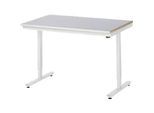 Rau Arbeitstisch Adlatus, elektrisch höhenverstellbar, 25 mm MDF-Platte, Stahlblechbelag, 150 kg, B 1250 x T 800 x H 720-1120 mm, silber/lichtgrau