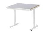 Rau Arbeitstisch Adlatus, elektrisch höhenverstellbar, 25 mm MDF-Platte, Stahlblechbelag, 150 kg, B 1000 x T 1000 x H 720-1120 mm, silber/lichtgrau