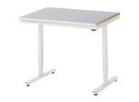 Rau Arbeitstisch Adlatus, elektrisch höhenverstellbar, 25 mm MDF-Platte, Stahlblechbelag, 150 kg, B 1000 x T 800 x H 720-1120 mm, silber/lichtgrau
