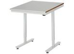 Rau Arbeitstisch Adlatus, elektrisch höhenverstellbar, 25 mm MDF-Platte, Edelstahlbelag, bis 150 kg, B 750 x T 800 x H 720-1120 mm, silber/lichtgrau