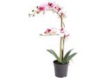Botanic-Haus Kunstorchidee »Orchidee Bora«