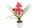 I.GE.A. Kunstblume »Orchidee« Mit Blätter im Topf aus Keramik Künstliche Blume Cymbidium-Orchidee