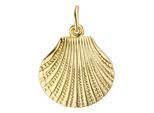 Kettenanhänger JOBO "Anhänger Muschel", gold (gelbgold 333), Schmuckanhänger, Damen, Gelbgold 333, Kettenanhänger, 333 Gold