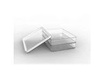 Rotho Frischhaltedosenset , Weiß, Transparent , Kunststoff , 20x15x7 cm , Reach, DIN EN ISO 14001, DIN EN ISO 9001 , Deckel mit Sichtfenster, lebensmittelecht , Küchenzubehör, Vorratsbehälter, Frischhaltedosen