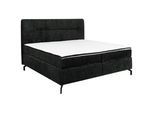 Esposa Boxspringbett , Schwarz , Textil , H3 + H4 , Höhe ca. 17 cm , 160x200 cm , Stoffauswahl, Topper durchgehend, Matratze in verschiedenen Härtegraden erhältlich , Schlafzimmer, Betten, Boxspringbetten