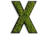 Xxxl Moosbild , Grün , Naturmaterialien , Kork , 26x19x4 cm , einfache und schnelle Anbringung, pflegefrei – nicht gießen oder besprühen, keine Beleuchtung notwendig , Bilder & Rahmen, Moosbilder