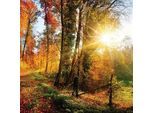 Xxxl Glasbild , Multicolor , Glas , quadratisch , 30x30x1.40 cm , Fotografie, einfache und schnelle Anbringung, glänzend , Bilder & Rahmen, Bilder, Glasbilder
