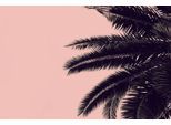 Fototapete LIVING WALLS "ARTist Palm Tree", rosa (rosa, schwarz), B:4m L:2,7m, Vlies, Tapeten, Vlies, Wand, Schräge