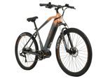 TOTEM TOTEM E-MTB Hardtail 29" Youin FJ-M Mittelmotor 80NM / 15Ah stahlgrau-orange