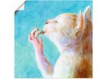 Artland Wandbild »Naschkatze«, Haustiere, (1 St.), als Leinwandbild, Poster, Wandaufkleber in verschied. Grössen