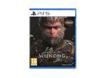 Black Myth: Wukong (Deluxe Edition) - Sony PlayStation 5 - RPG - PEGI 16