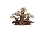 4FISH Tree roots Mini forest 50x25x30 cm