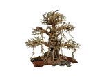 4FISH Tree roots Old Bonsai 40x20x40 cm