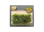 Meadow Ludwigia plastic 6cm