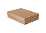 Archivbox Falken PureBox Nature A3, für bis zu 1250 Blatt, mit Beschriftungsfeld, L 440 x B 320 x Füllhöhe 100 mm, FSC®-Pappe, braun