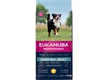Eukanuba Everyday Adult Large Breed Chicken 16.5kg