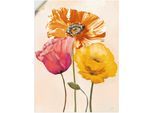 Artland Wandbild »Bunte Mohnblumen II«, Blumenbilder, (1 St.), als Leinwandbild, Poster, Wandaufkleber in verschied. Grössen