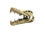 4FISH Skull 22x10.3x13 cm