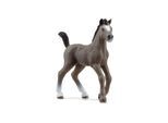 Schleich Cheval de Selle Fr. foal