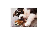 KONG Dog Toy Shells Bear 14cm