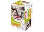 animonda Integra Protect Intestinal 6x100g