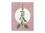 Komar Bild »Menthe en Croissance«, Natur, (1 St.), Wandbild zur Dekoration - ohne Rahmen
