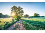 Komar Vliestapete »Digitaldruck Vlies - A New Day in Paradise - Grösse 400 x 250 cm«, bedruckt, Wohnzimmer, Schlafzimmer