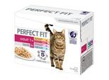 PERFECT FIT Adult Mix 12x85 g